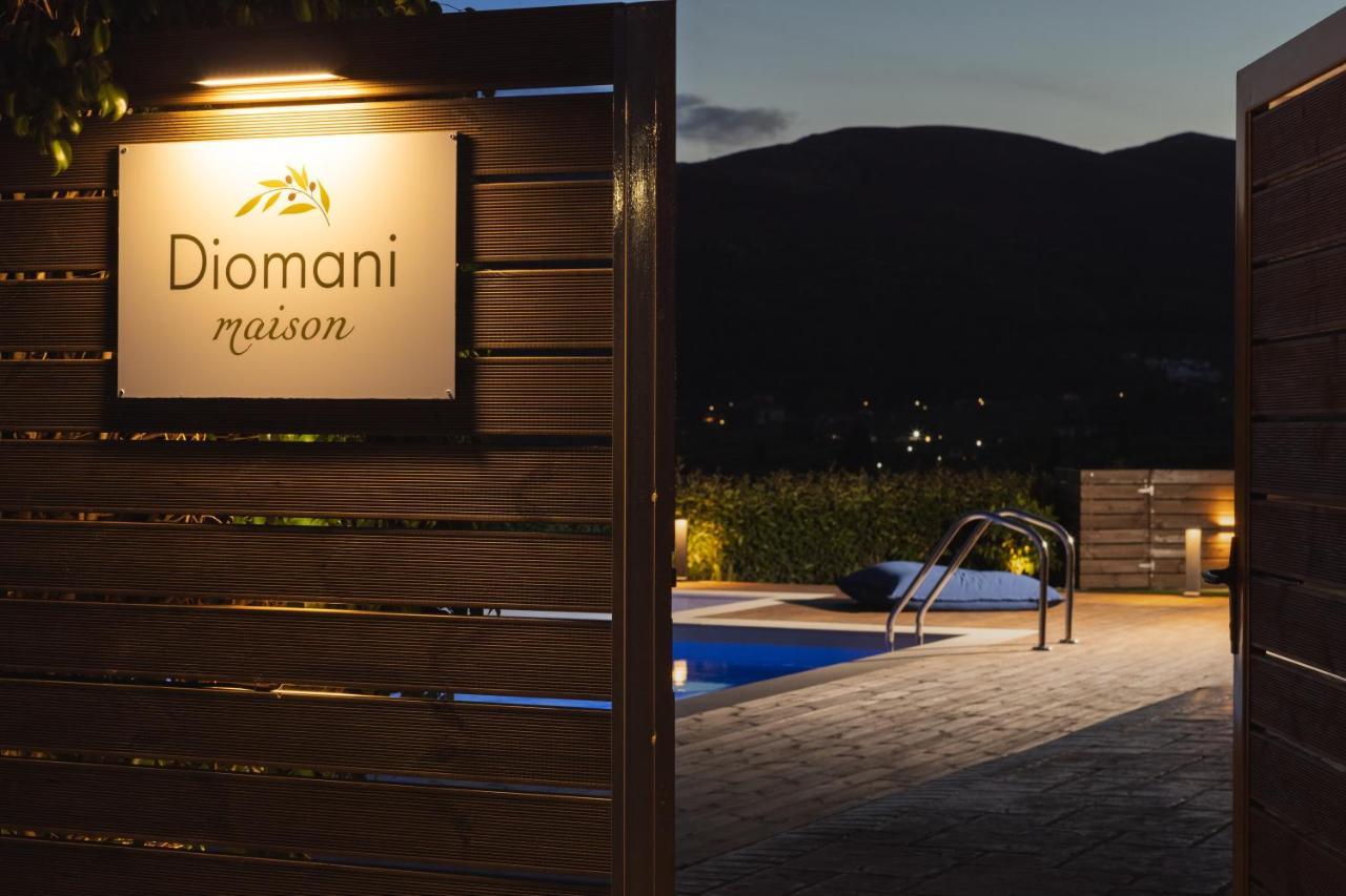 Diomani Maison - Private Pool & Sea View, By Zantewize Lithakia  Buitenkant foto